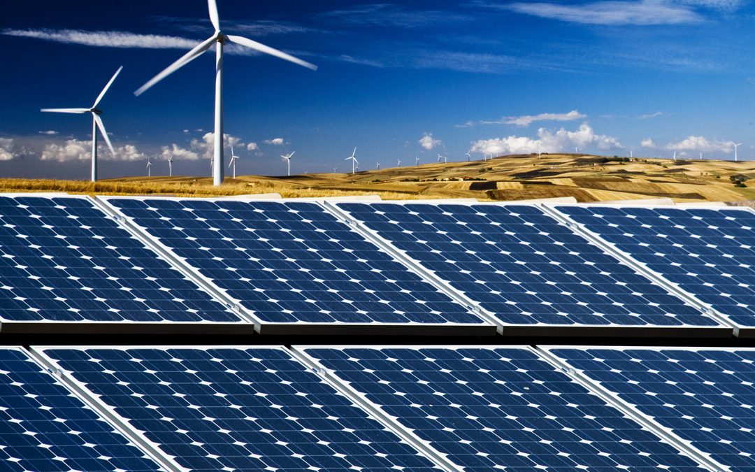 Rich Oils Group - Industries & Services : Renewable Energy