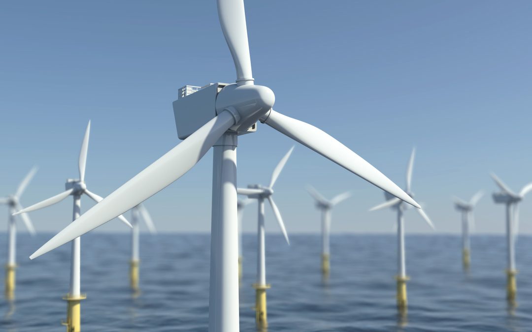 Rich Oils Group - Industries & Services : Renewable Energy